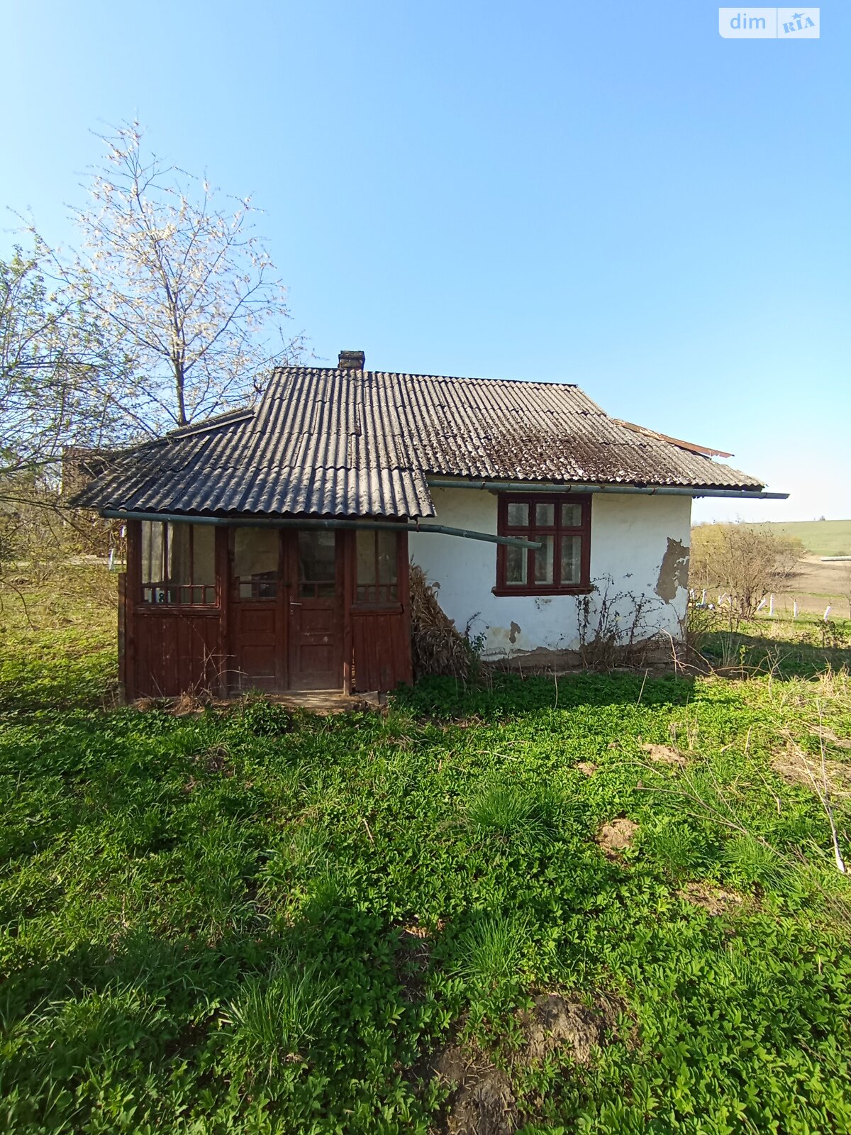Земельный участок под жилую застройку в Черемховом, площадь 29.24 сотки фото 1