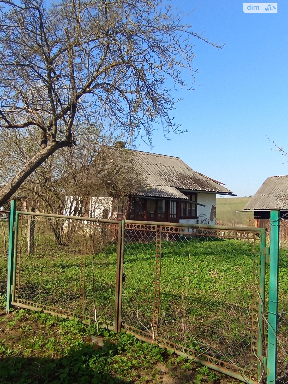Земельный участок под жилую застройку в Черемховом, площадь 29.24 сотки фото 1 Земельный участок под жилую застройку в Черемховом, площадь 29.24 сотки фото 1