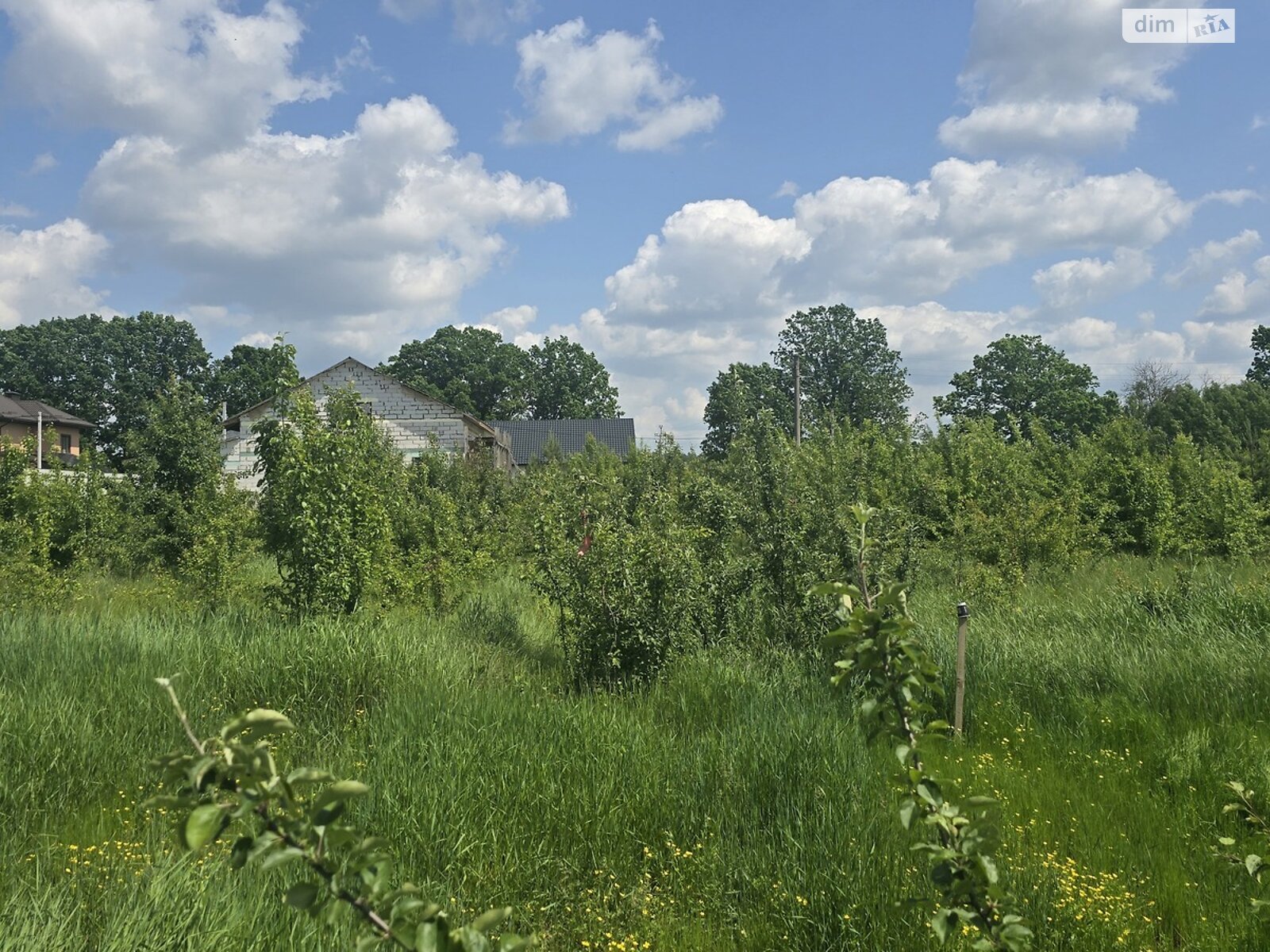 Земельный участок под жилую застройку в Ивановке, площадь 8 соток фото 1 Земельный участок под жилую застройку в Ивановке, площадь 8 соток фото 1