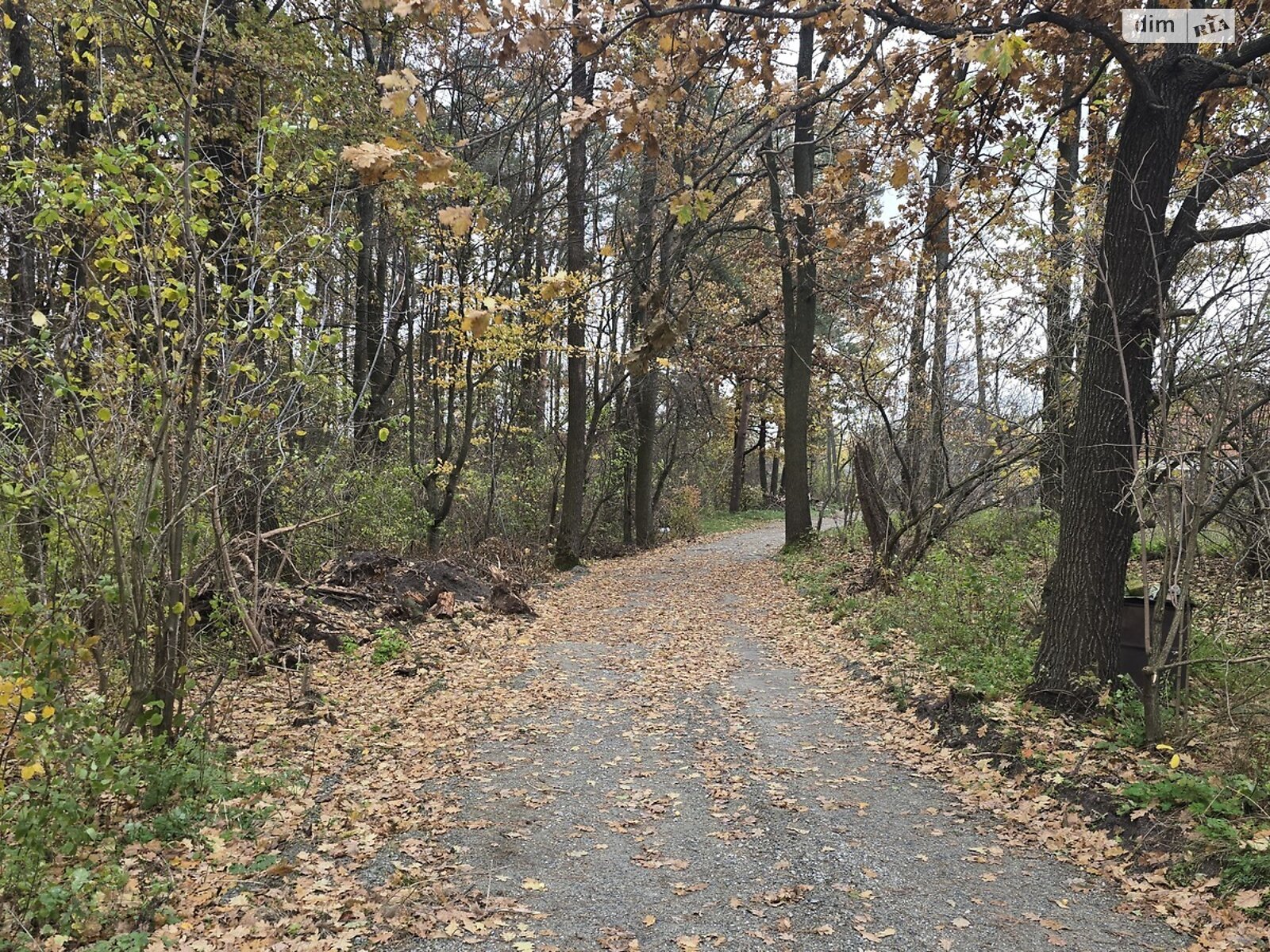 Земельный участок под жилую застройку в Ивановке, площадь 15 соток фото 1