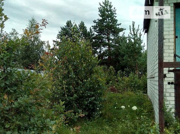 Земля под жилую застройку в селе Березовка, площадь 5 соток фото 1 Земля под жилую застройку в селе Березовка, площадь 5 соток фото 1