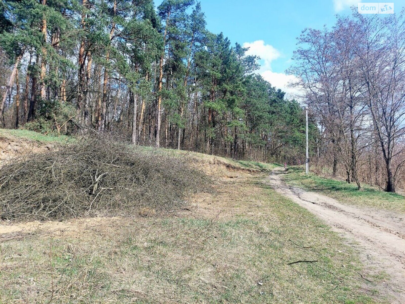 Земля під житлову забудову в Житомирі, район Паперова фабрика, площа 20 соток фото 1