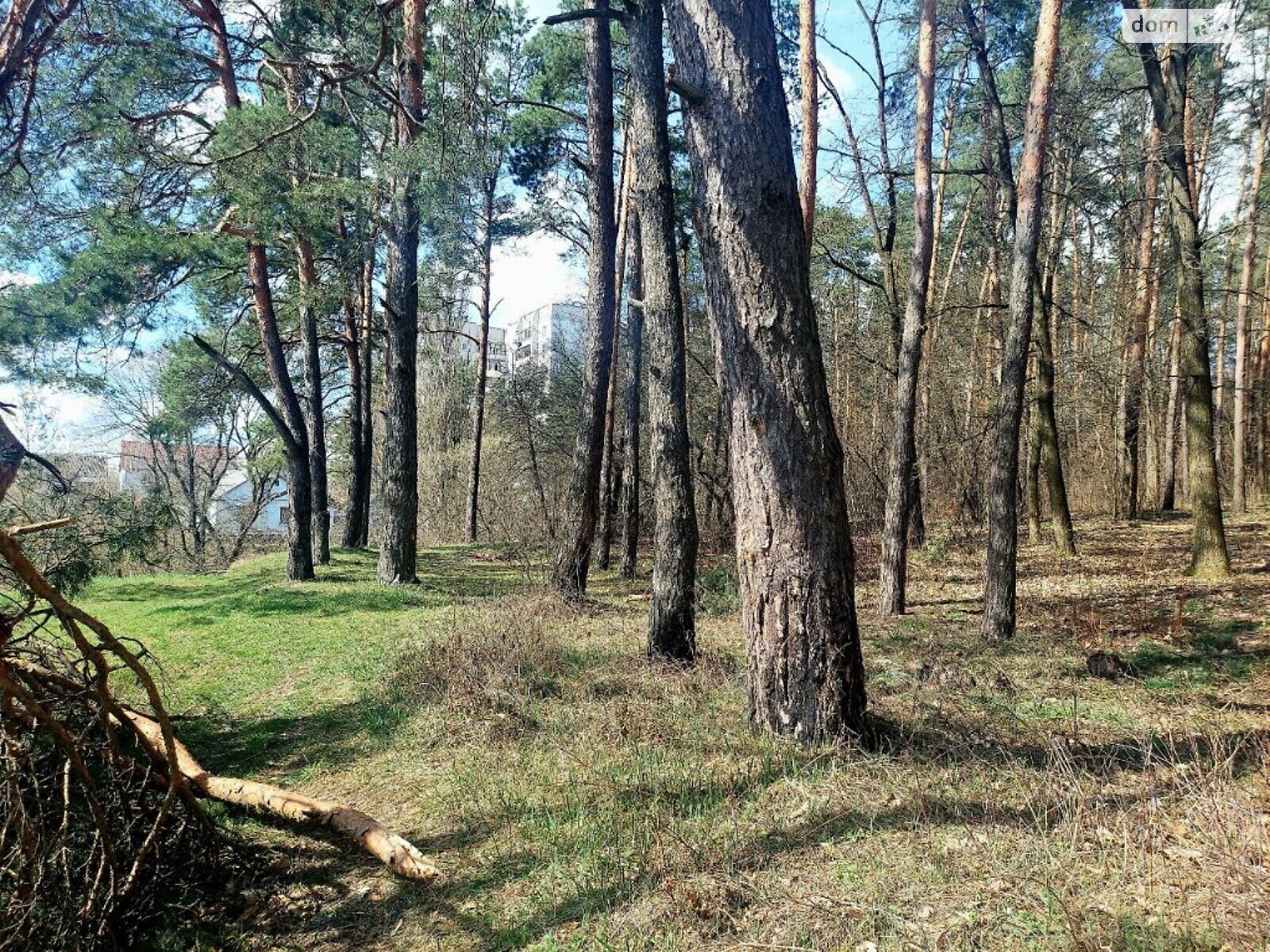 Земля під житлову забудову в Житомирі, район Паперова фабрика, площа 20 соток фото 1