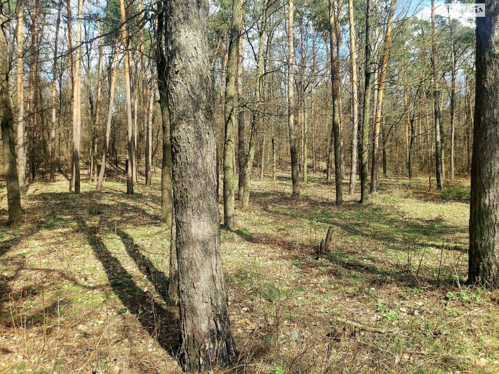 Земля під житлову забудову в Житомирі, район Паперова фабрика, площа 20 соток фото 1