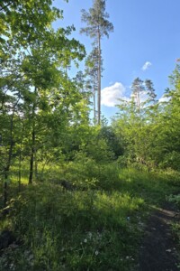 Земля под жилую застройку в Житомире, район Бумажная фабрика, площадь 10 соток фото 2