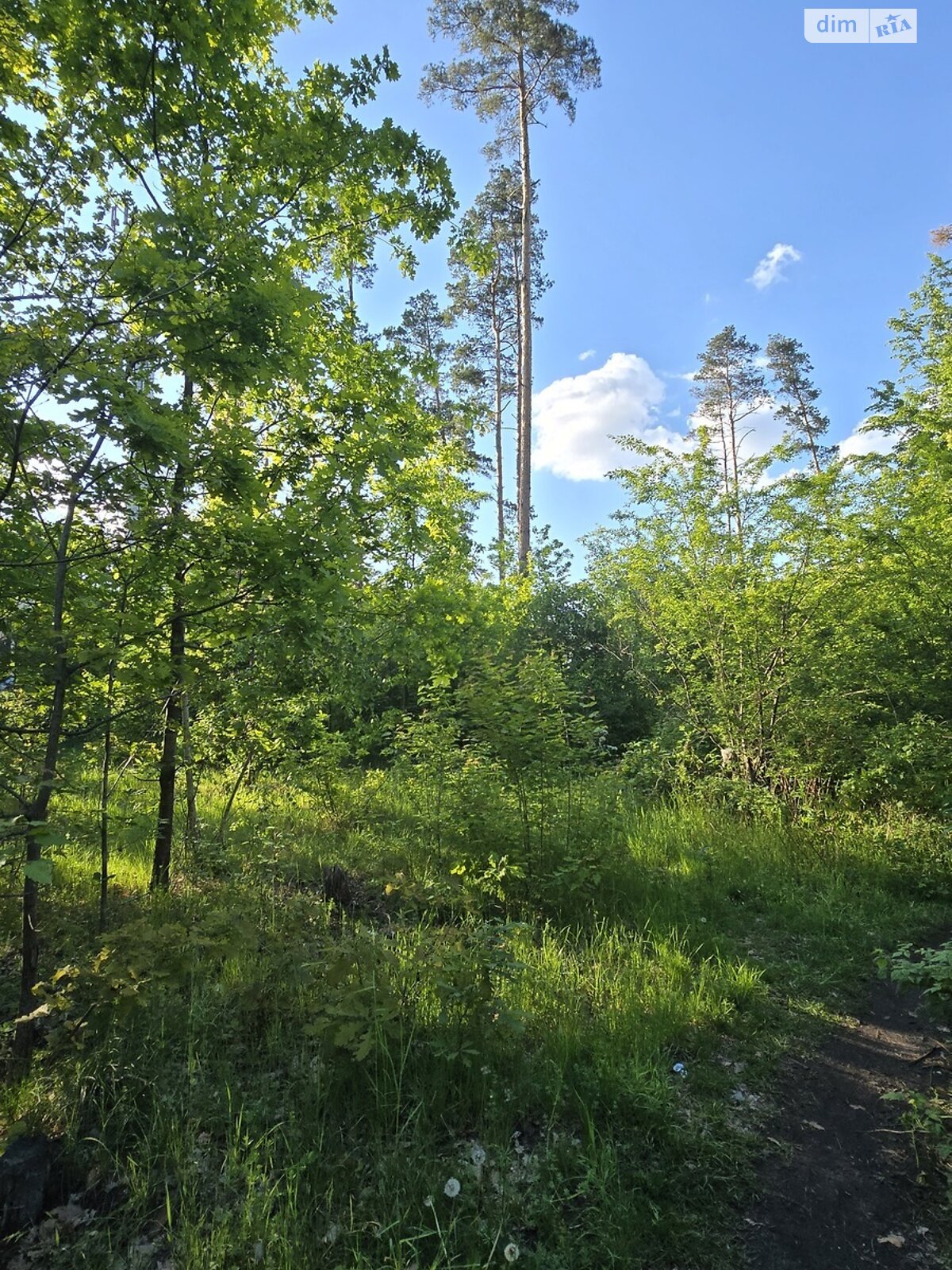 Земля под жилую застройку в Житомире, район Бумажная фабрика, площадь 10 соток фото 1