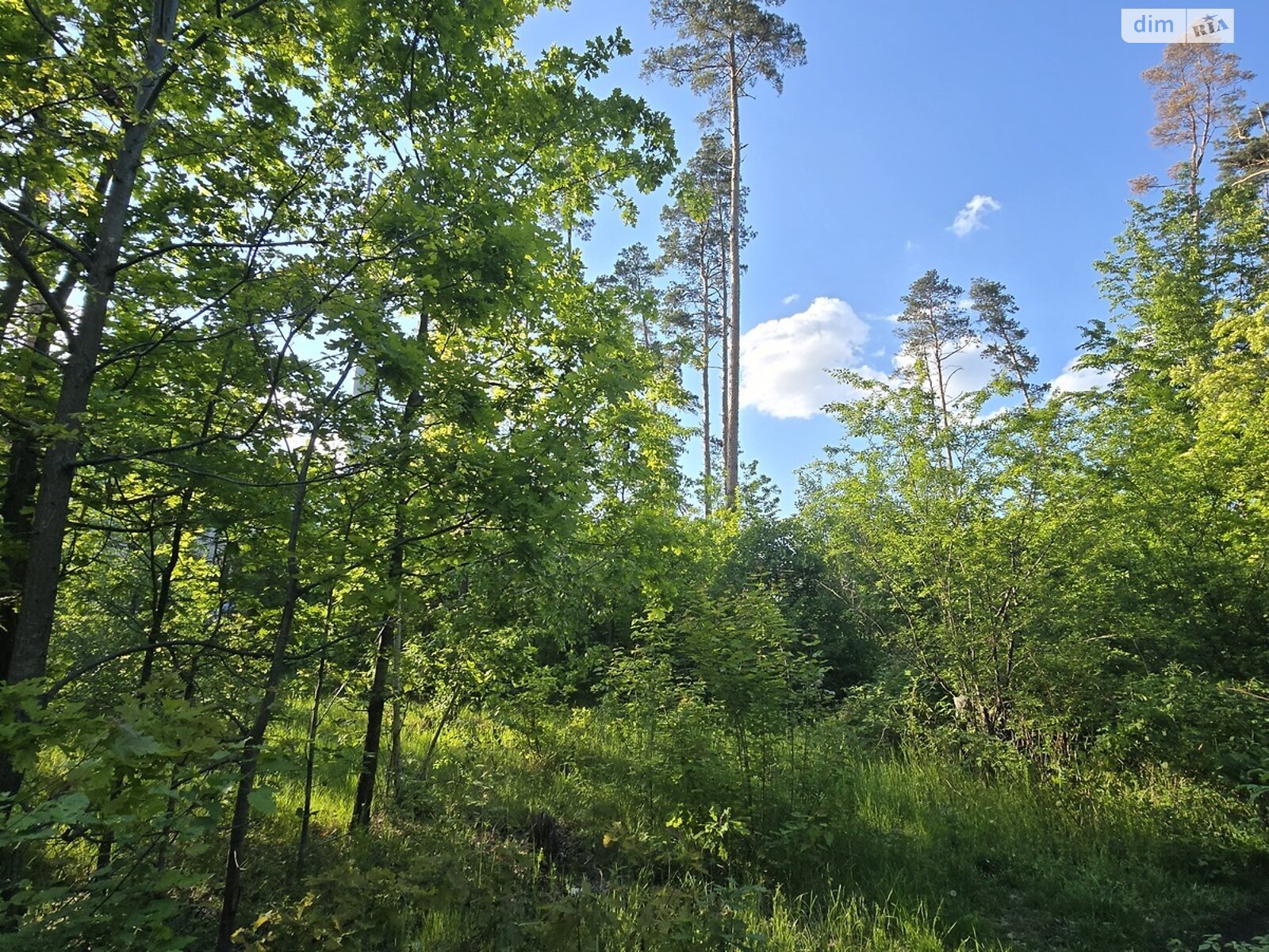 Земля под жилую застройку в Житомире, район Бумажная фабрика, площадь 10 соток фото 1