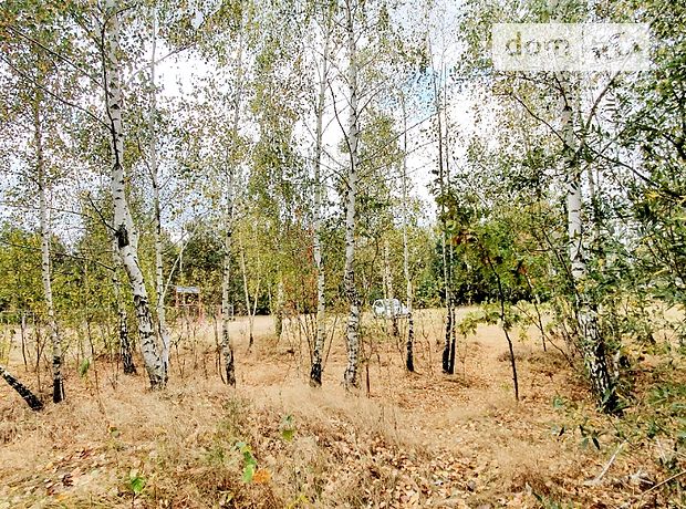 Земля под жилую застройку в селе Глубочица, площадь 24 сотки фото 1 Земля под жилую застройку в селе Глубочица, площадь 24 сотки фото 1