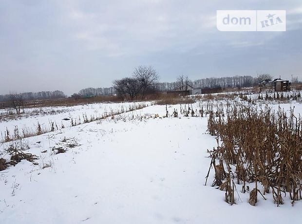 Земля під житлову забудову в Житомирі, район Хінчанка, площа 8 соток фото 1 Земля під житлову забудову в Житомирі, район Хінчанка, площа 8 соток фото 1