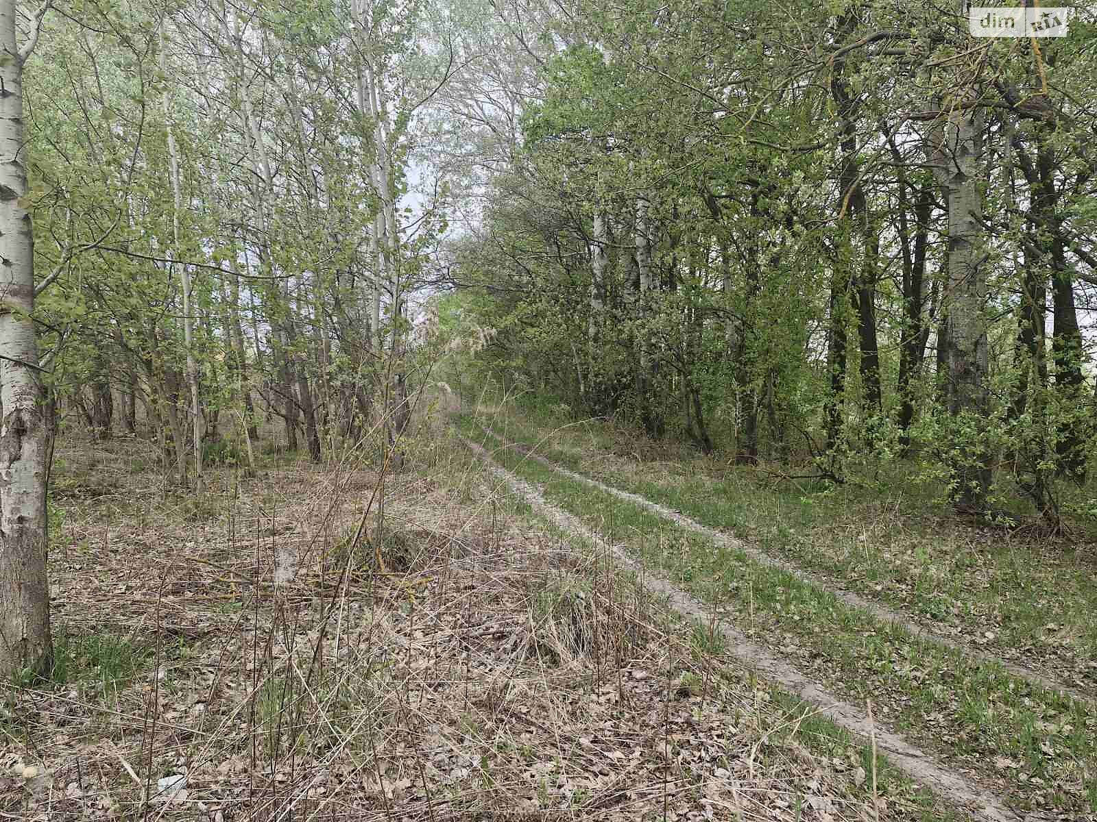 Земля під житлову забудову в Житомирі, район Хінчанка, площа 8 соток фото 1 Земля під житлову забудову в Житомирі, район Хінчанка, площа 8 соток фото 1
