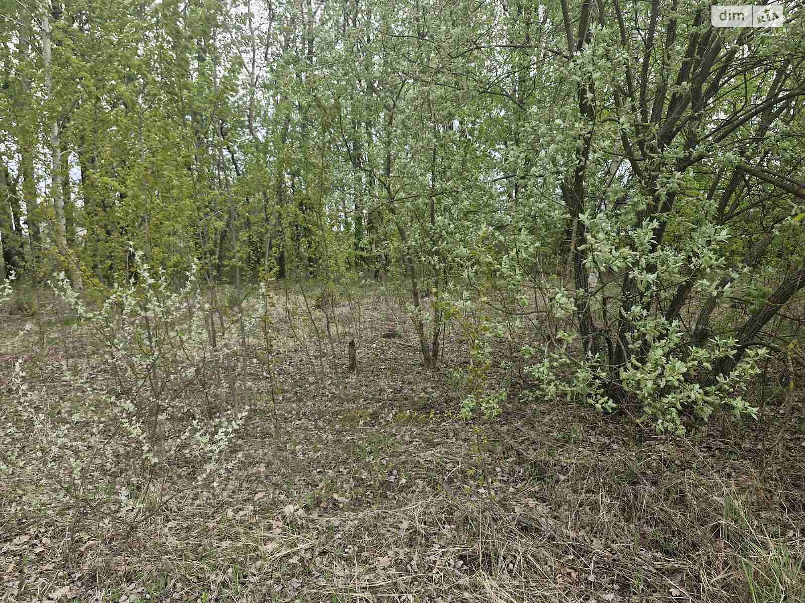 Земля під житлову забудову в Житомирі, район Хінчанка, площа 8 соток фото 1 Земля під житлову забудову в Житомирі, район Хінчанка, площа 8 соток фото 1