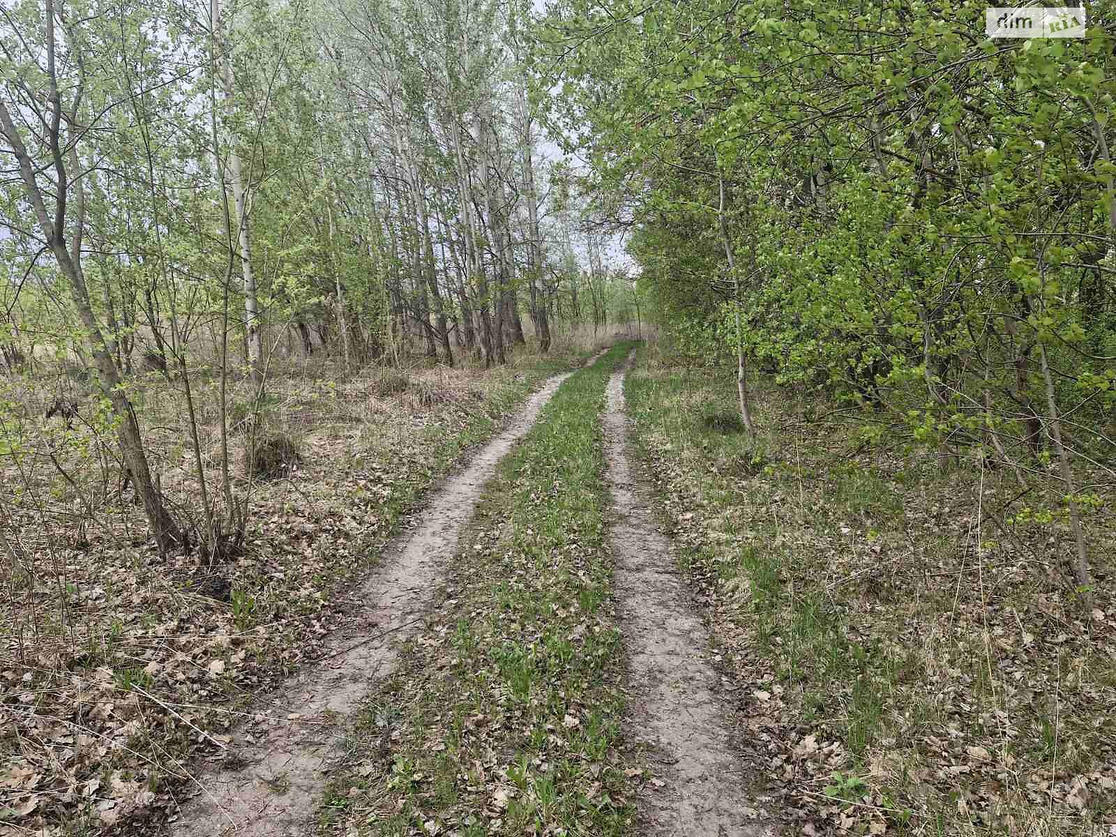 Земля під житлову забудову в Житомирі, район Хінчанка, площа 8 соток фото 1 Земля під житлову забудову в Житомирі, район Хінчанка, площа 8 соток фото 1