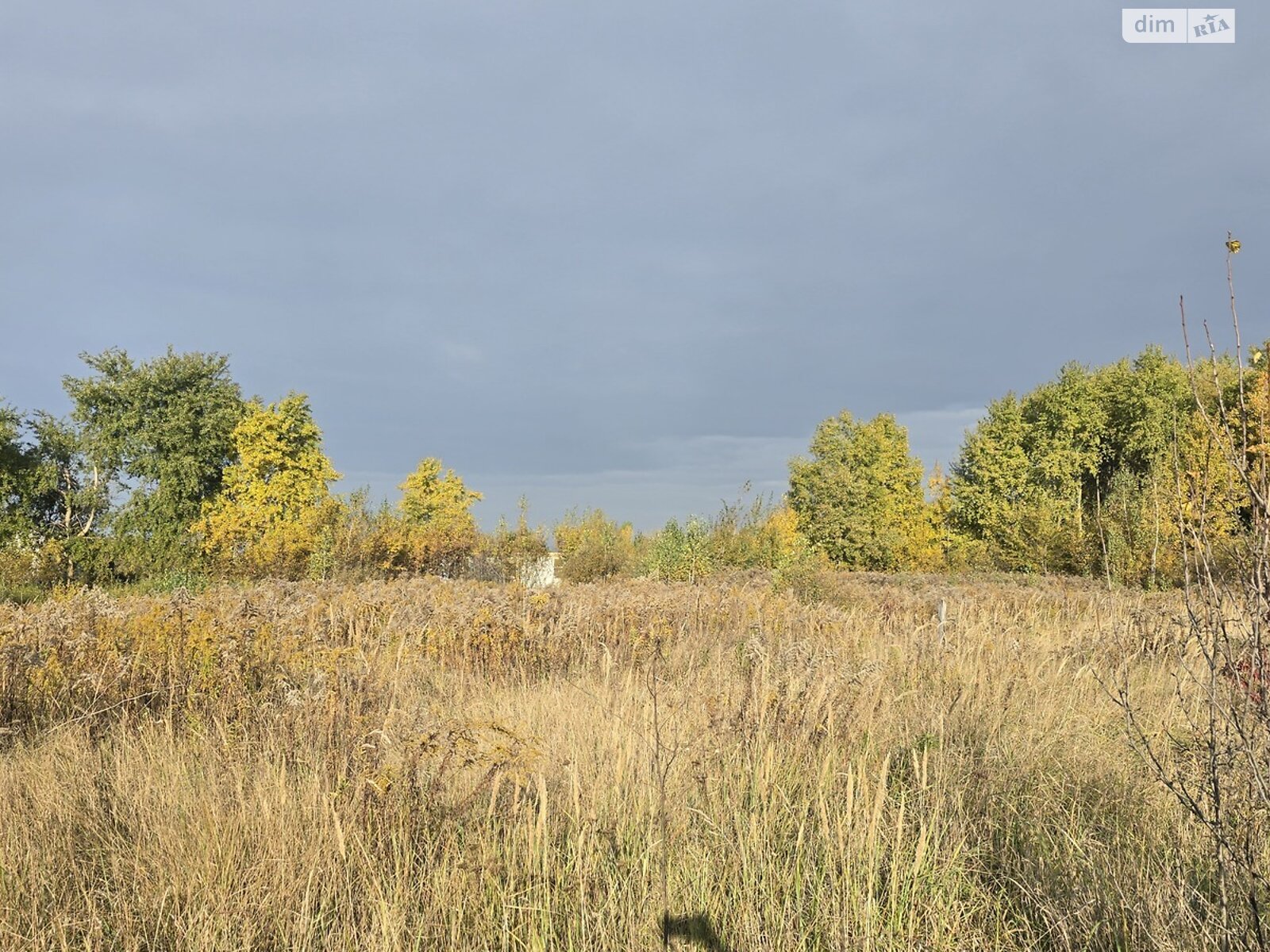 Земля под жилую застройку в Житомире, район Крошня, площадь 10.6 сотки фото 1