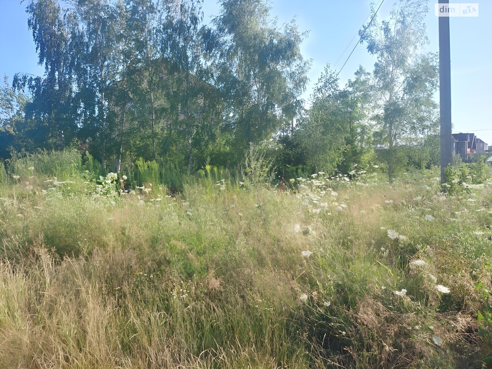 Земля під житлову забудову в Житомирі, район Крошня, площа 6 соток фото 1