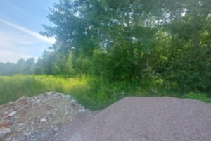 Земельна ділянка під житлову забудову в Олиевке, площа 10 соток фото 2