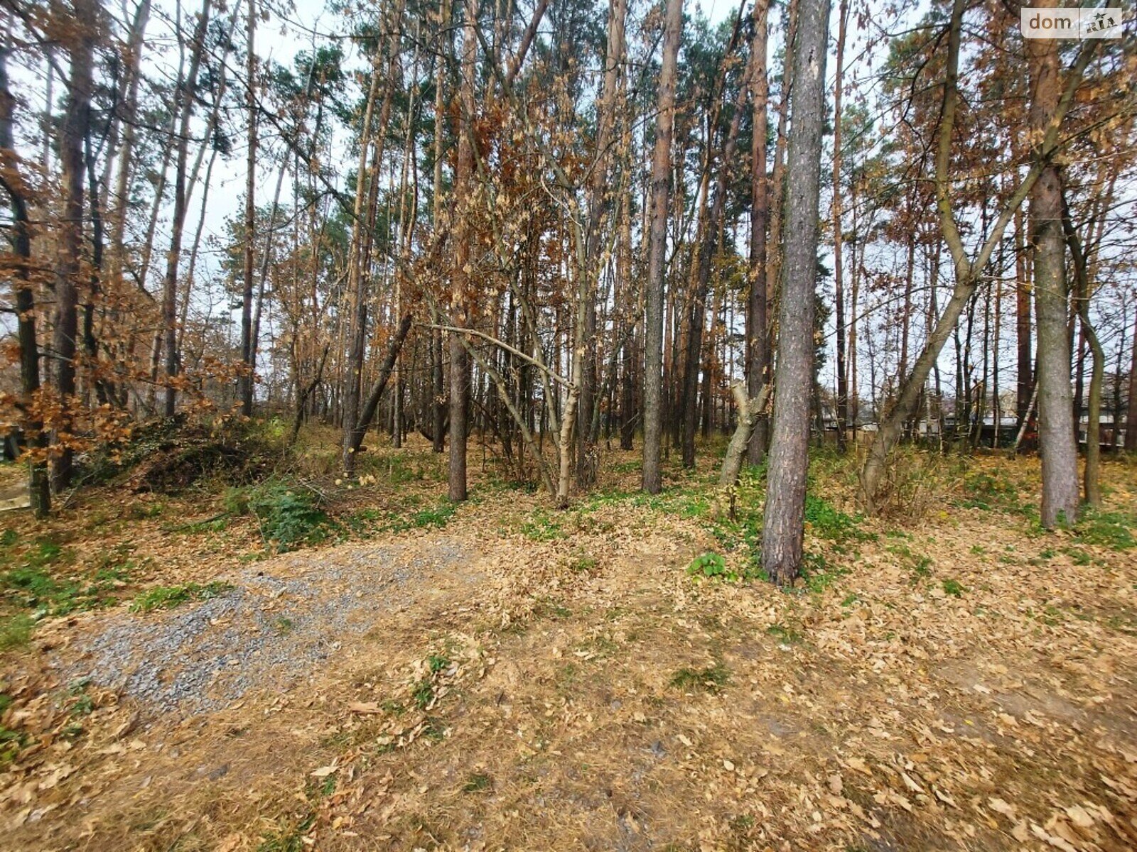 Земельна ділянка під житлову забудову в Новогуйвинське, площа 9.2 сотки фото 1