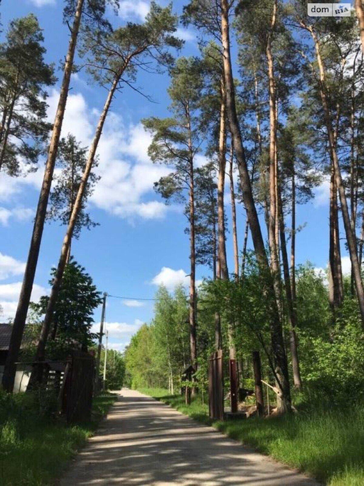 Земельна ділянка під житлову забудову в Новогуйвинське, площа 12 соток фото 1