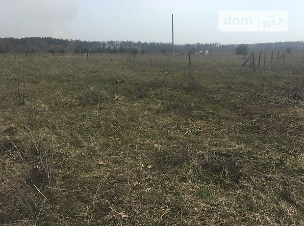 Земля под жилую застройку в селе Писки, площадь 8 соток фото 1 Земля под жилую застройку в селе Писки, площадь 8 соток фото 1