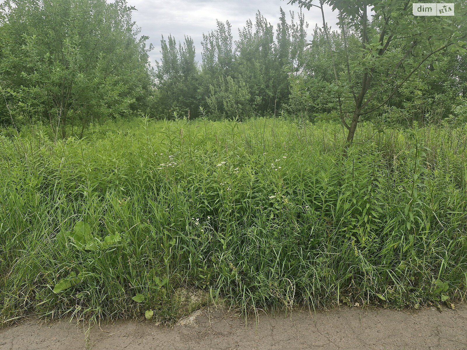 Земля під житлову забудову в Житомирі, район Польова, площа 10 соток фото 1 Земля під житлову забудову в Житомирі, район Польова, площа 10 соток фото 1