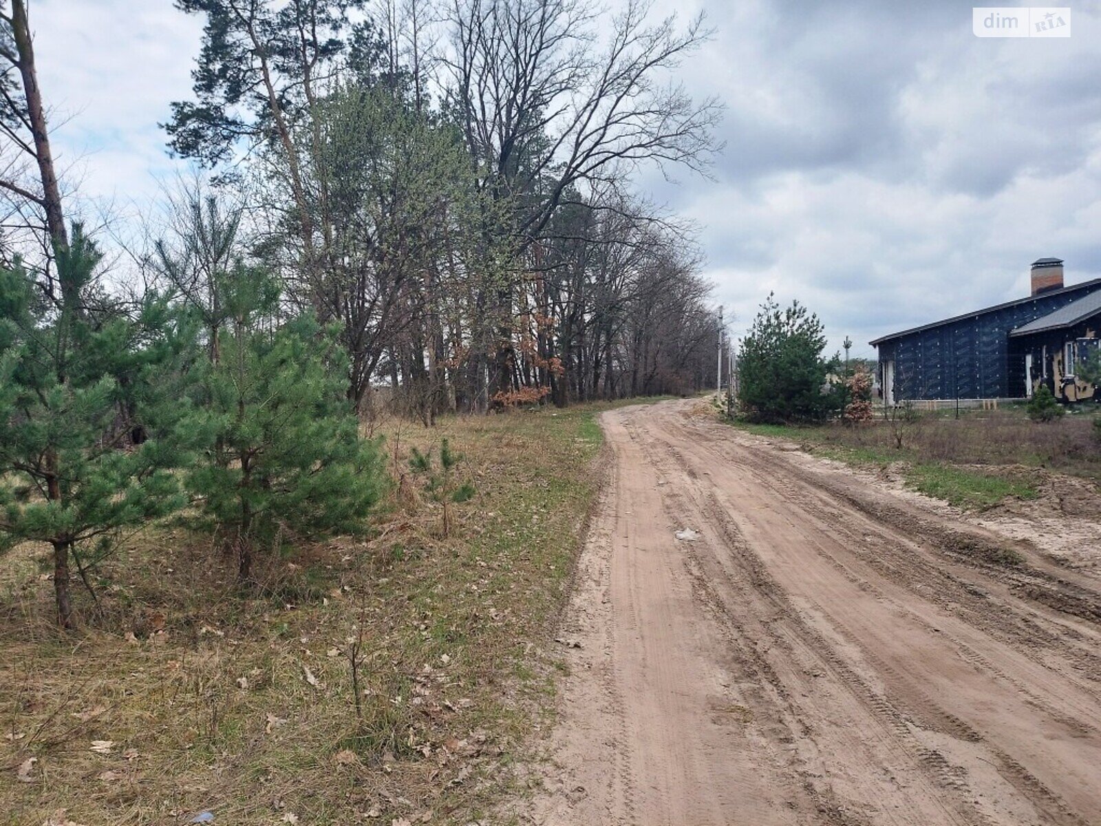 Земельна ділянка під житлову забудову в Пряжеві, площа 25 соток фото 1