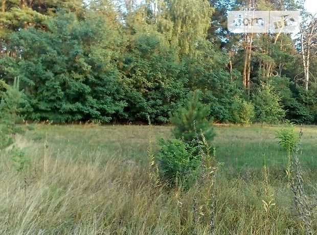Земля под жилую застройку в селе Пряжево, площадь 15 соток фото 1 Земля под жилую застройку в селе Пряжево, площадь 15 соток фото 1