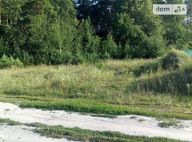 Земля под жилую застройку в селе Скоморохи, площадь 8 соток фото 1 Земля под жилую застройку в селе Скоморохи, площадь 8 соток фото 1