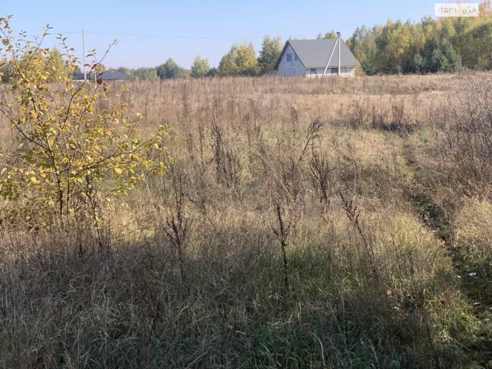 Земля під житлову забудову, площа 80 соток фото 1