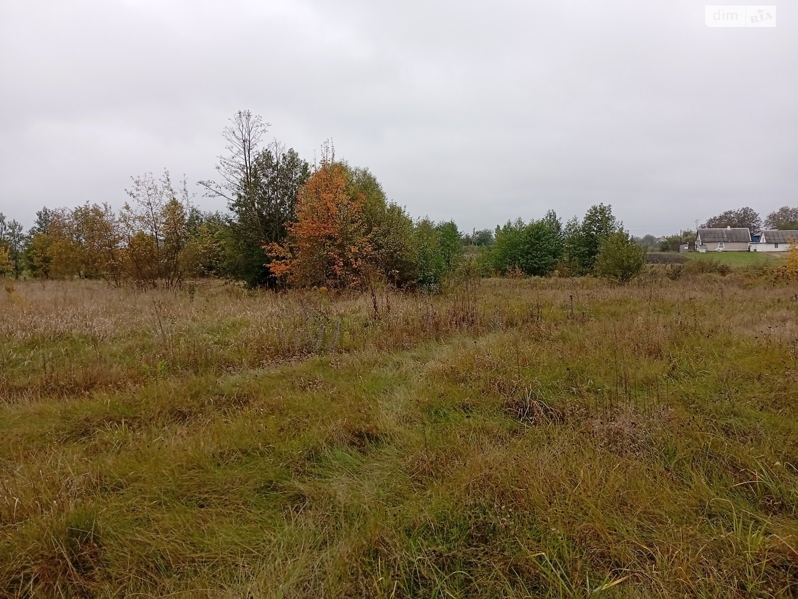 Земельный участок под жилую застройку в Житомире, площадь 10 соток фото 1 Земельный участок под жилую застройку в Житомире, площадь 10 соток фото 1