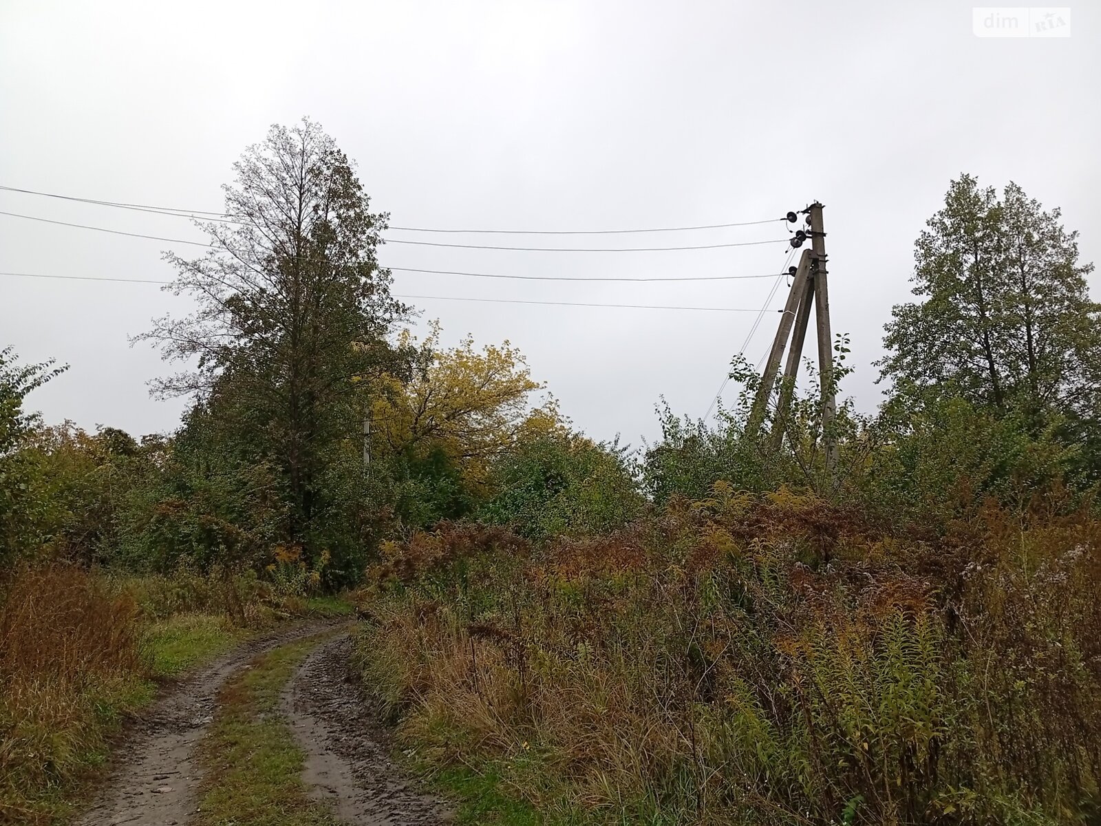 Земельный участок под жилую застройку в Житомире, площадь 10 соток фото 1 Земельный участок под жилую застройку в Житомире, площадь 10 соток фото 1