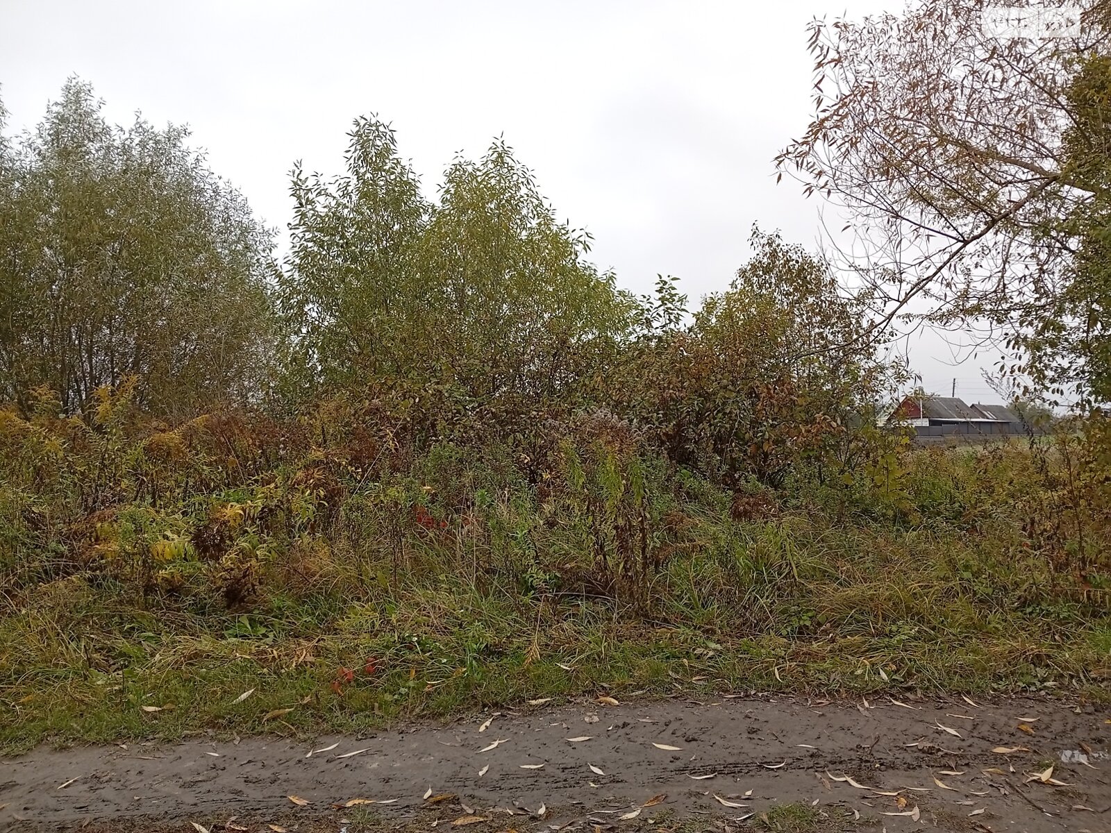 Земельный участок под жилую застройку в Житомире, площадь 10 соток фото 1 Земельный участок под жилую застройку в Житомире, площадь 10 соток фото 1