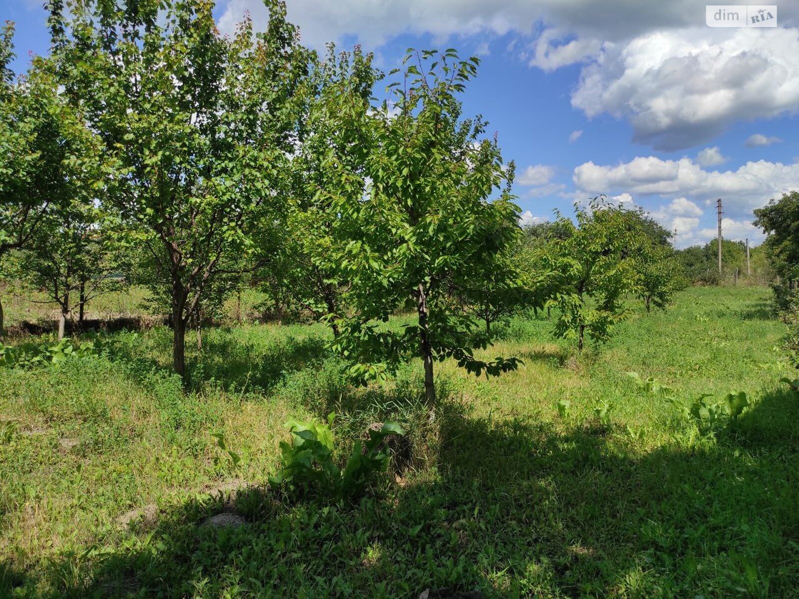 Земля під житлову забудову в Жмеринці, район Жмеринка, площа 12 соток фото 1