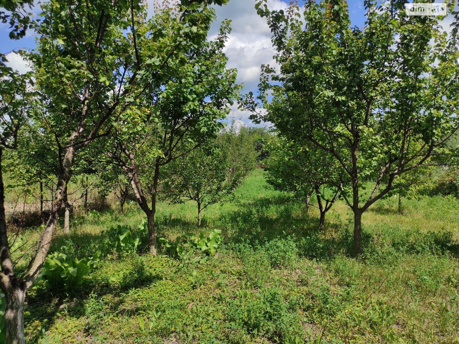 Земля під житлову забудову в Жмеринці, район Жмеринка, площа 12 соток фото 1