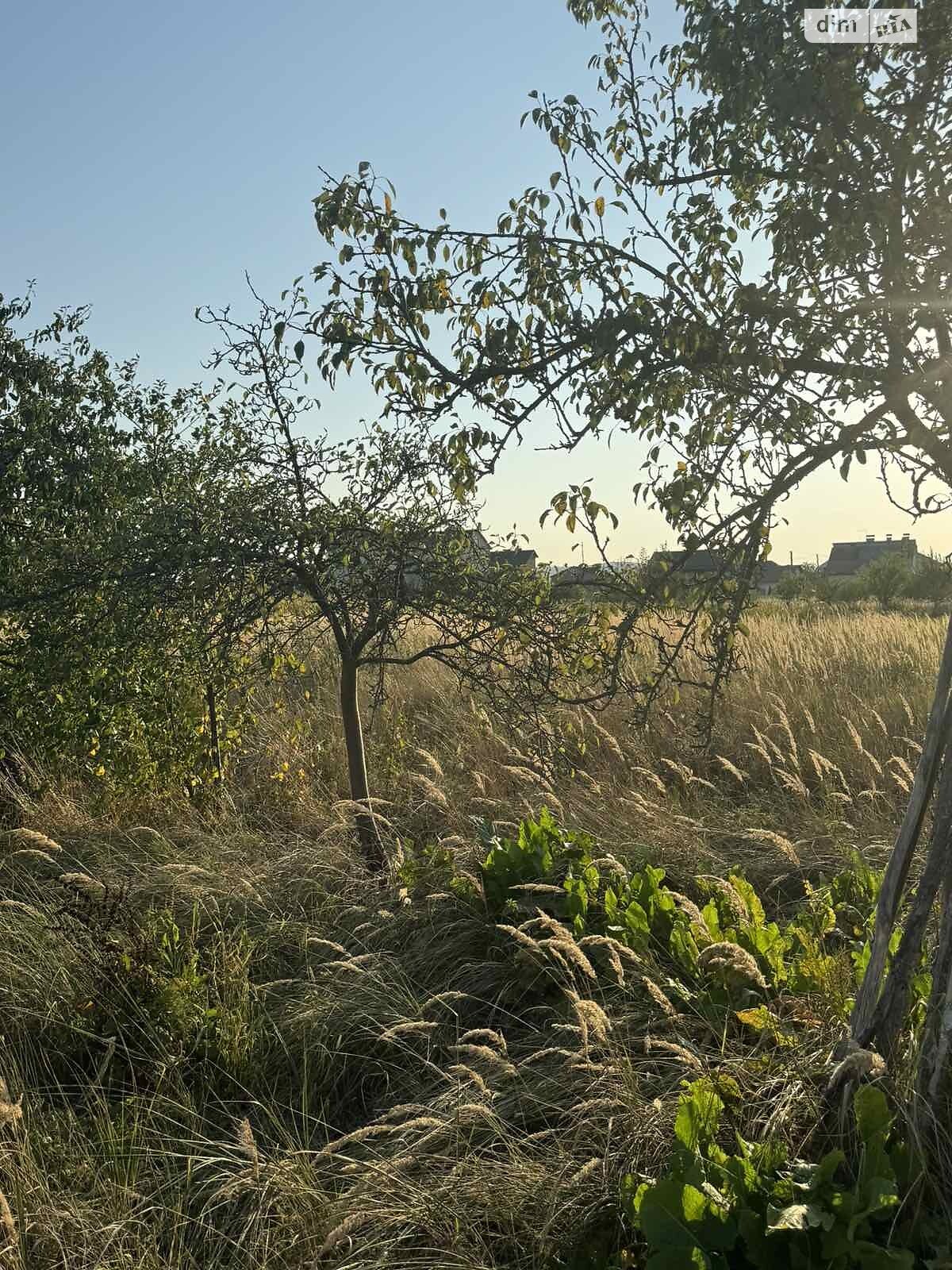 Земля под жилую застройку в Жовкве, район Жолква, площадь 7.22 сотки фото 1