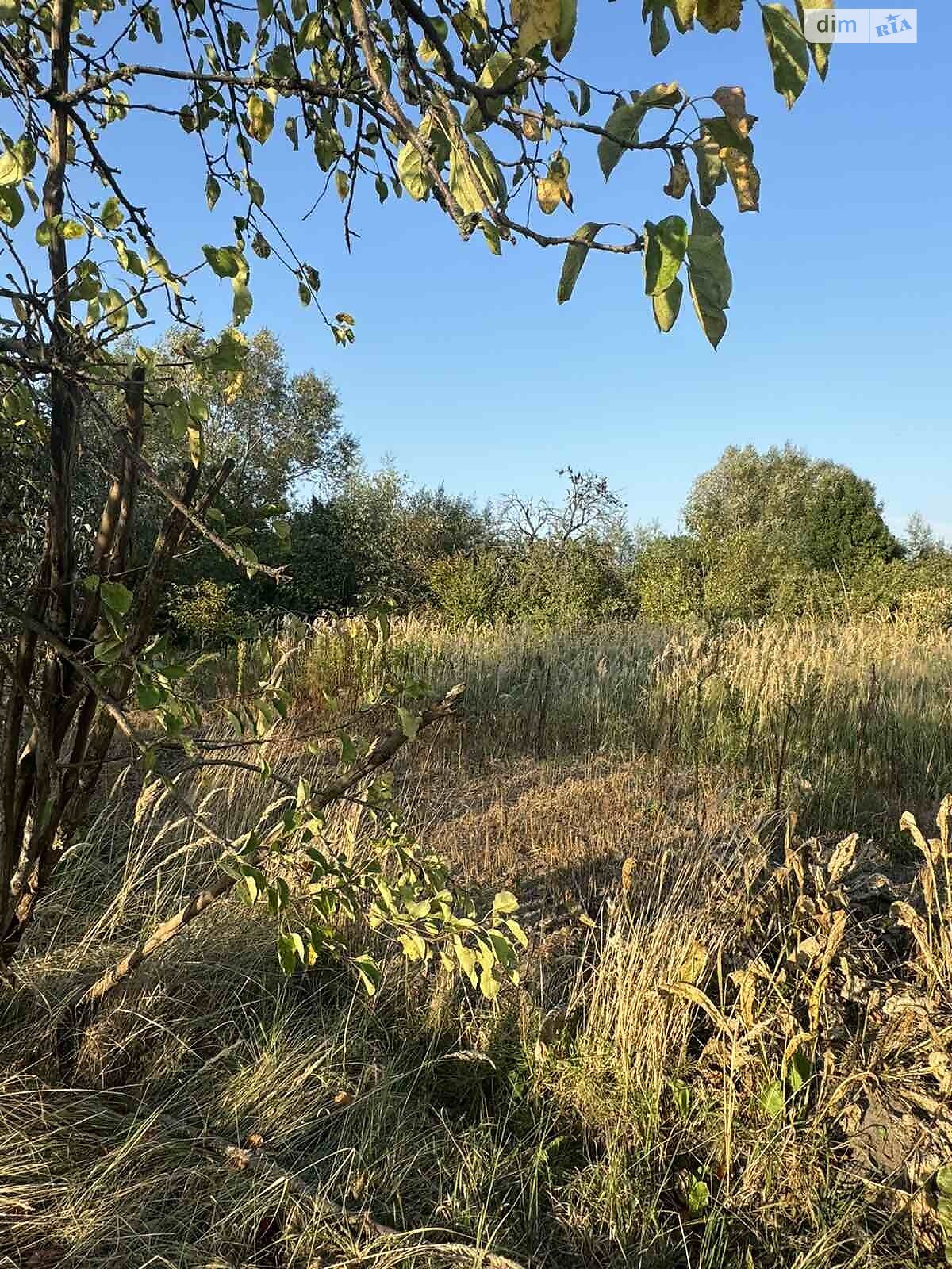 Земля под жилую застройку в Жовкве, район Жолква, площадь 7.22 сотки фото 1