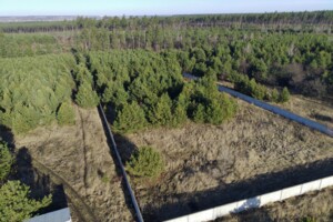 Земельна ділянка під житлову забудову в Жорнівці, площа 10 соток фото 2
