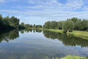 Земельна ділянка під житлову забудову в Жураках, площа 0.2498 Га фото 2 Земельна ділянка під житлову забудову в Жураках, площа 0.2498 Га фото 2