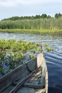 Земельный участок под жилую застройку в Журавке, площадь 25 соток фото 1