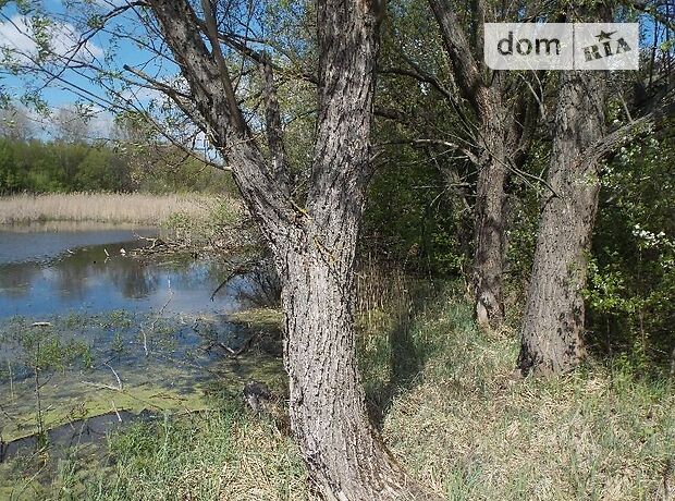Земля под жилую застройку в селе Бендюговка, площадь 58 соток фото 1 Земля под жилую застройку в селе Бендюговка, площадь 58 соток фото 1
