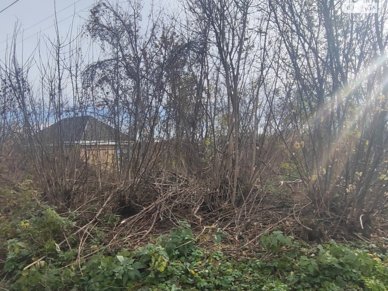 Земля под жилую застройку в Кагарлыке, площадь 0.4143 сотки фото 1 Земля под жилую застройку в Кагарлыке, площадь 0.4143 сотки фото 1