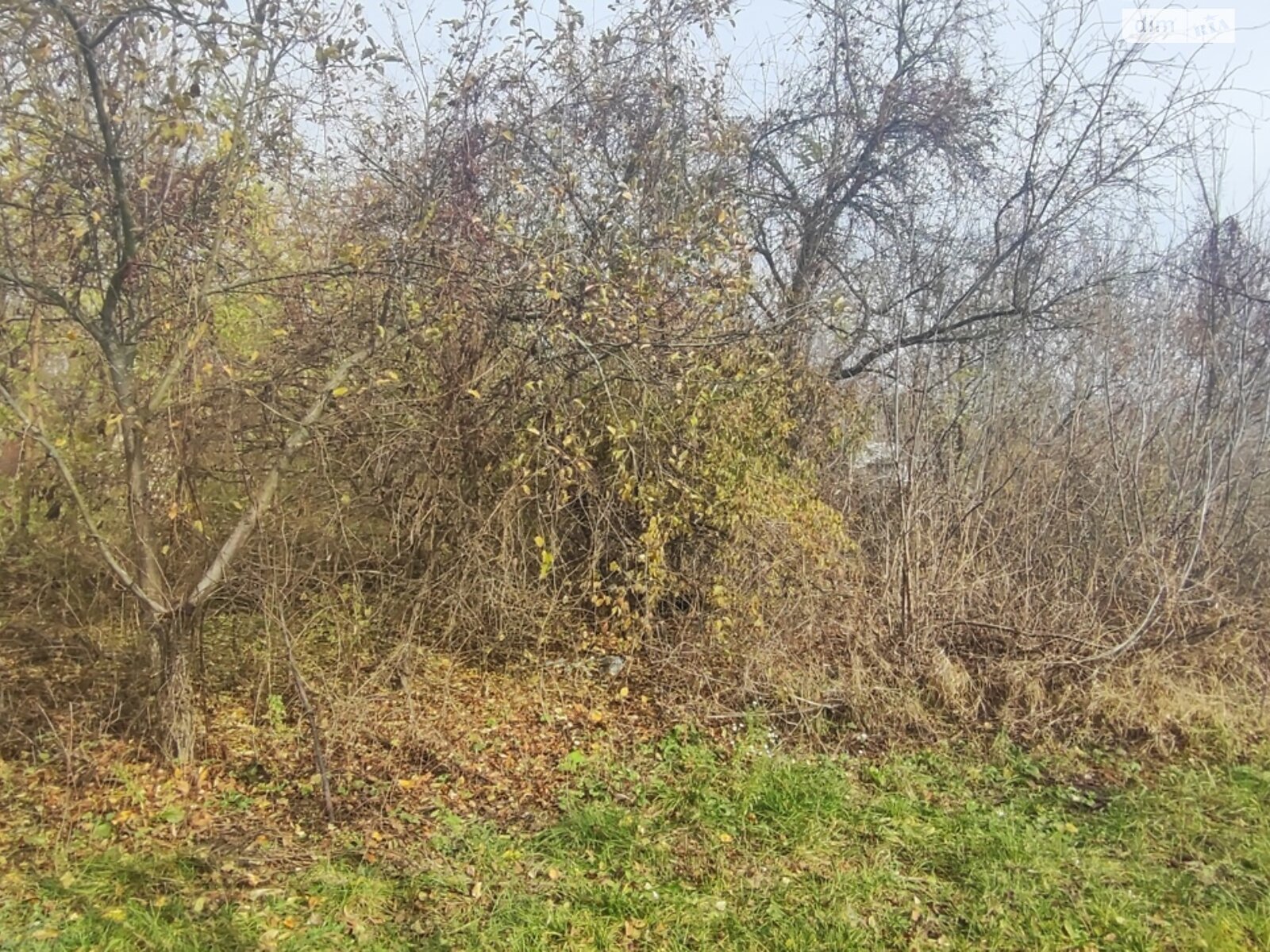 Земля под жилую застройку в Кагарлыке, площадь 0.4143 сотки фото 1 Земля под жилую застройку в Кагарлыке, площадь 0.4143 сотки фото 1