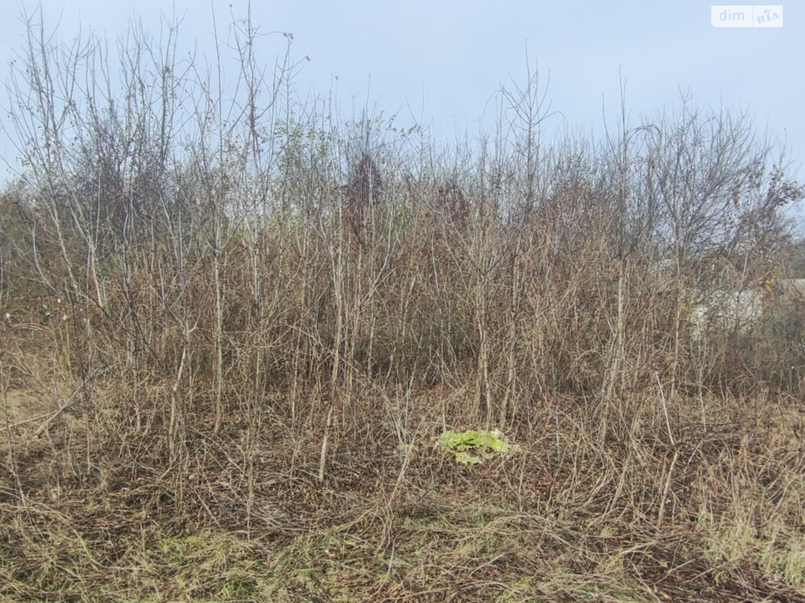 Земля под жилую застройку в Кагарлыке, площадь 0.4143 сотки фото 1 Земля под жилую застройку в Кагарлыке, площадь 0.4143 сотки фото 1