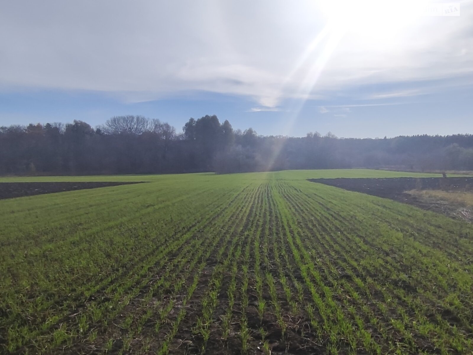 Земля под жилую застройку в Кагарлыке, площадь 0.4143 сотки фото 1 Земля под жилую застройку в Кагарлыке, площадь 0.4143 сотки фото 1