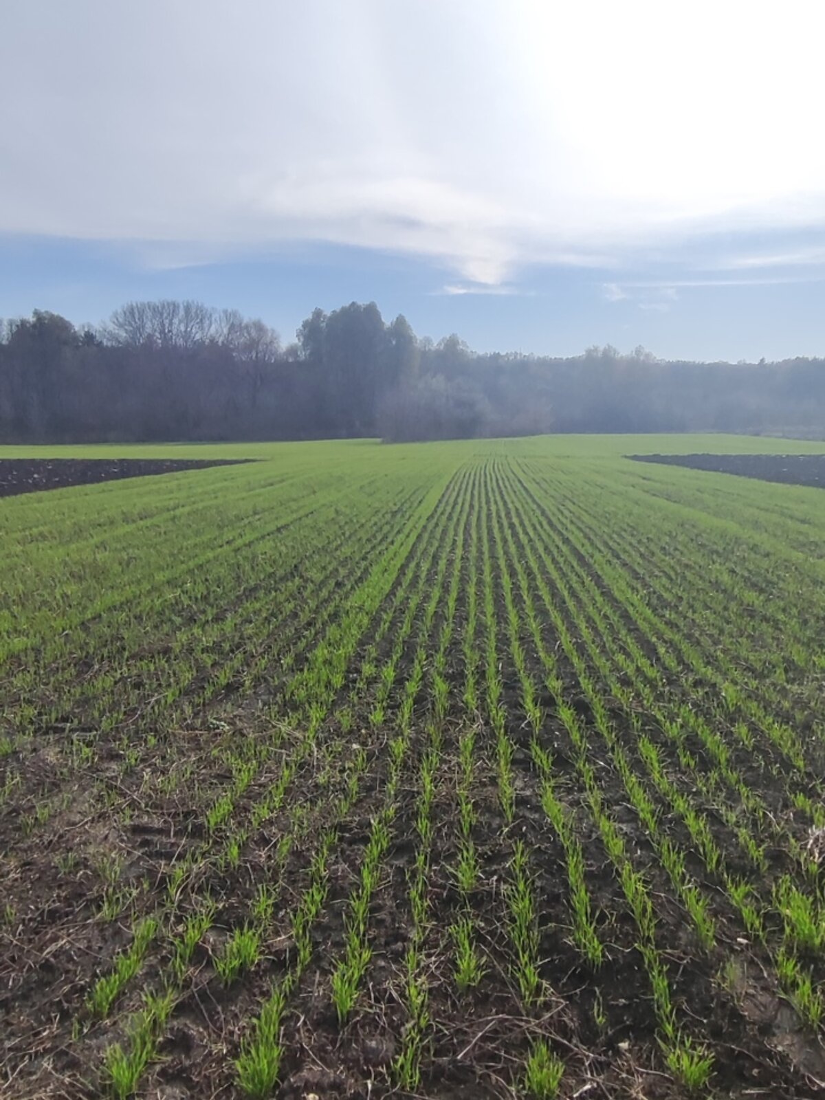 Земля под жилую застройку в Кагарлыке, площадь 0.4143 сотки фото 1 Земля под жилую застройку в Кагарлыке, площадь 0.4143 сотки фото 1