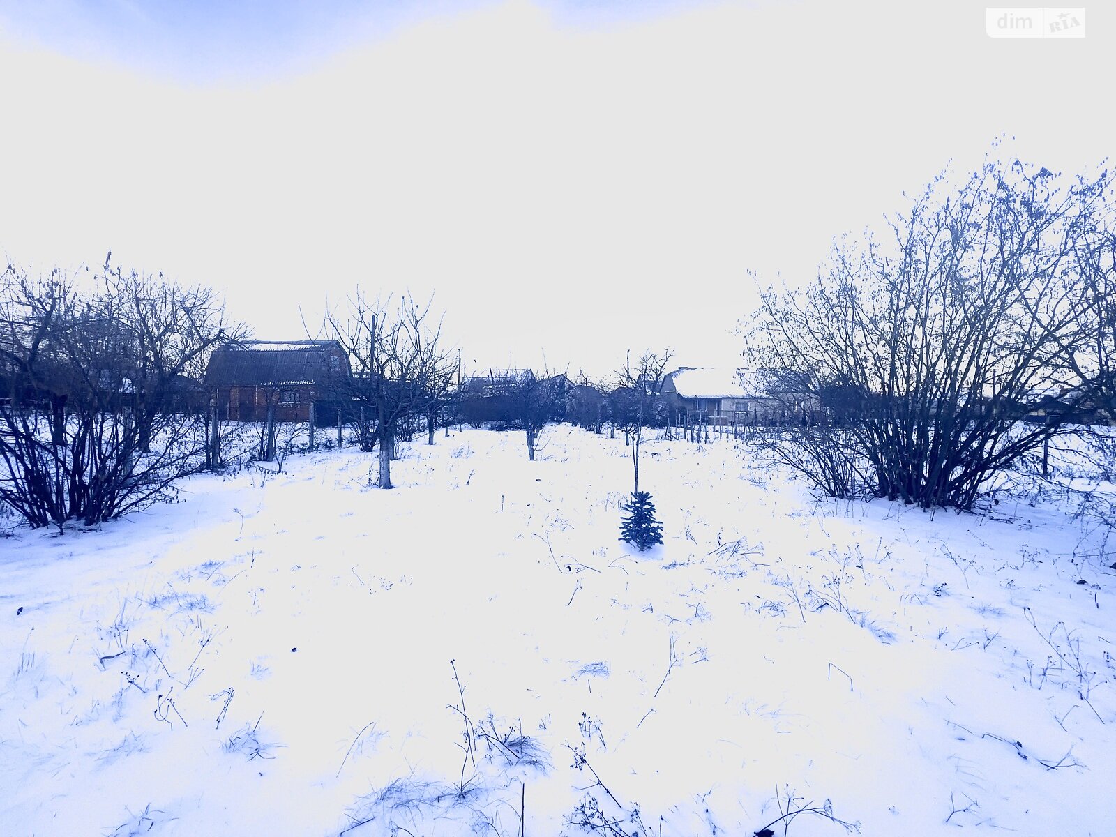 Земля під житлову забудову в Калинівці, район Калинівка, площа 16 соток фото 1