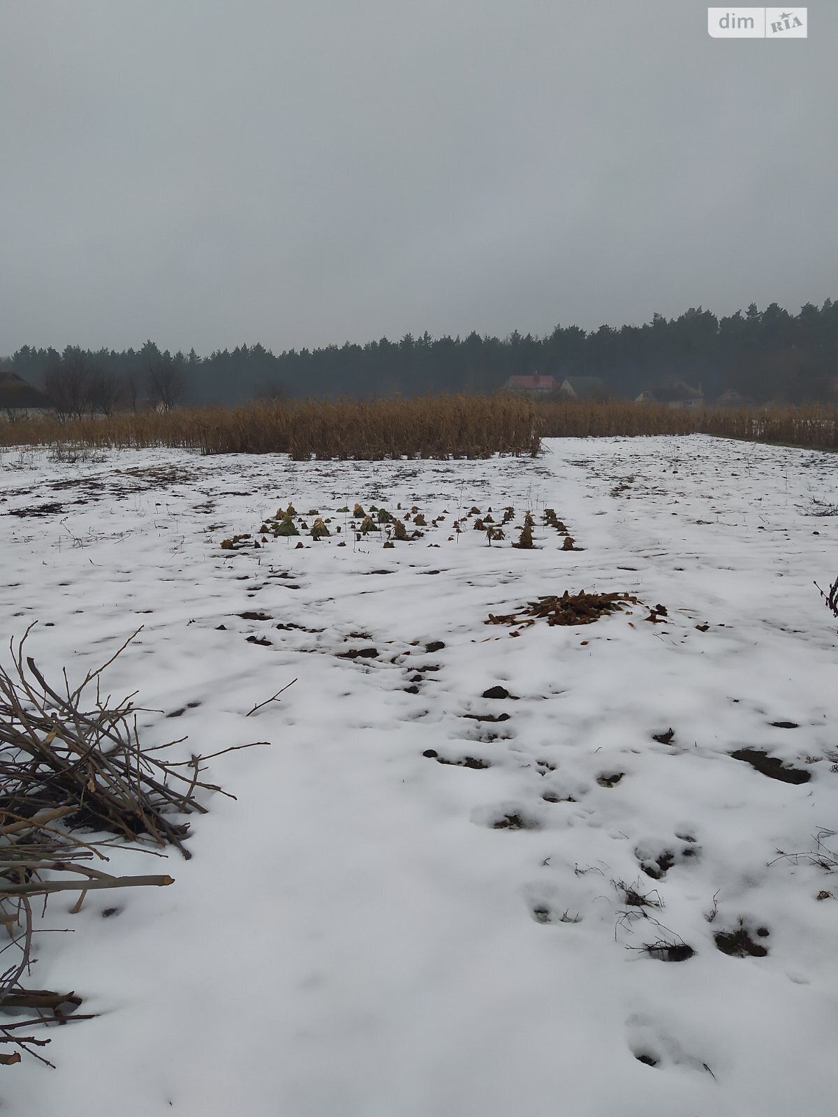 Земля під житлову забудову в Калинівці, район Калинівка, площа 42.33 сотки фото 1 Земля під житлову забудову в Калинівці, район Калинівка, площа 42.33 сотки фото 1