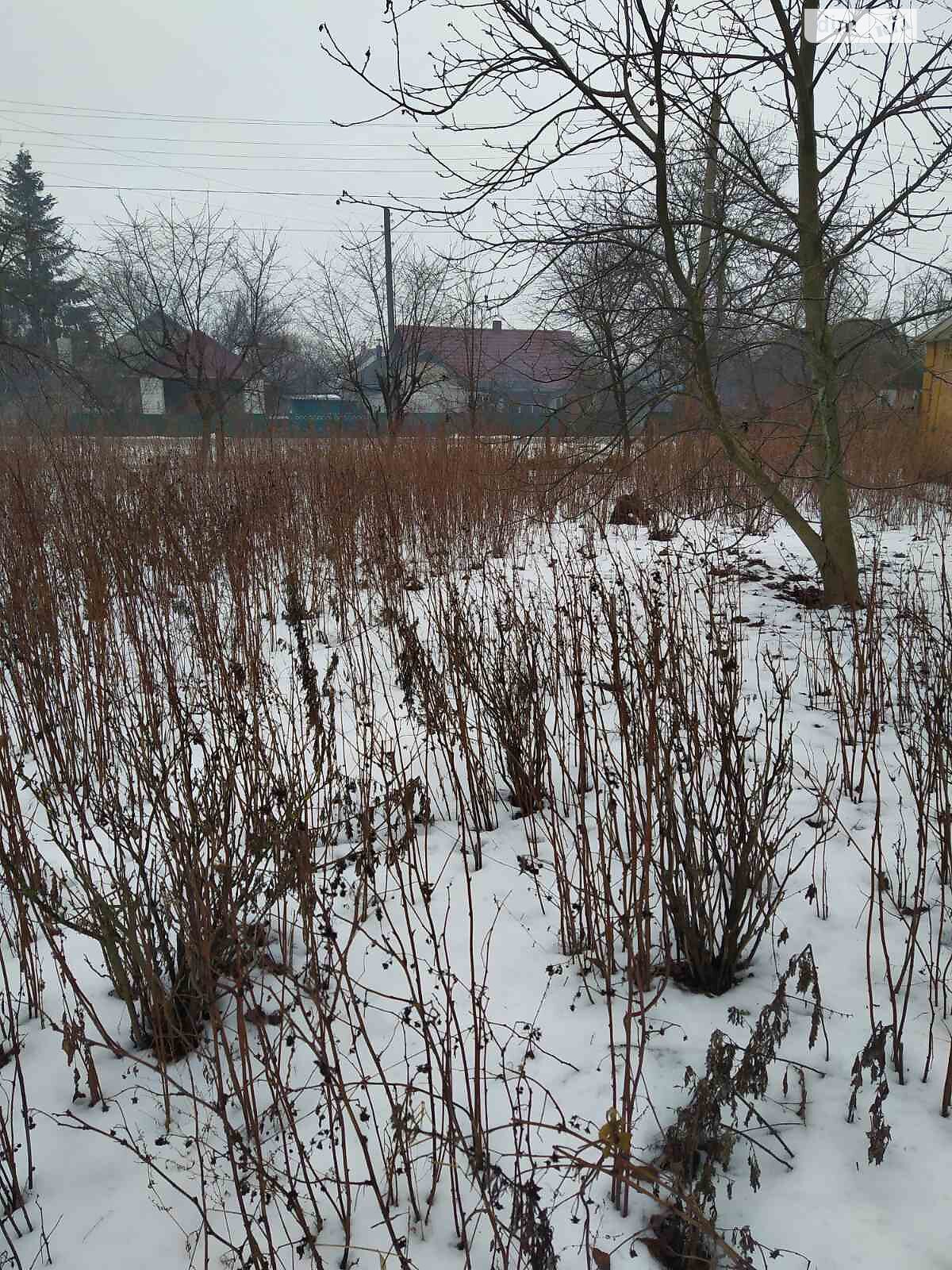 Земля під житлову забудову в Калинівці, район Калинівка, площа 42.33 сотки фото 1 Земля під житлову забудову в Калинівці, район Калинівка, площа 42.33 сотки фото 1