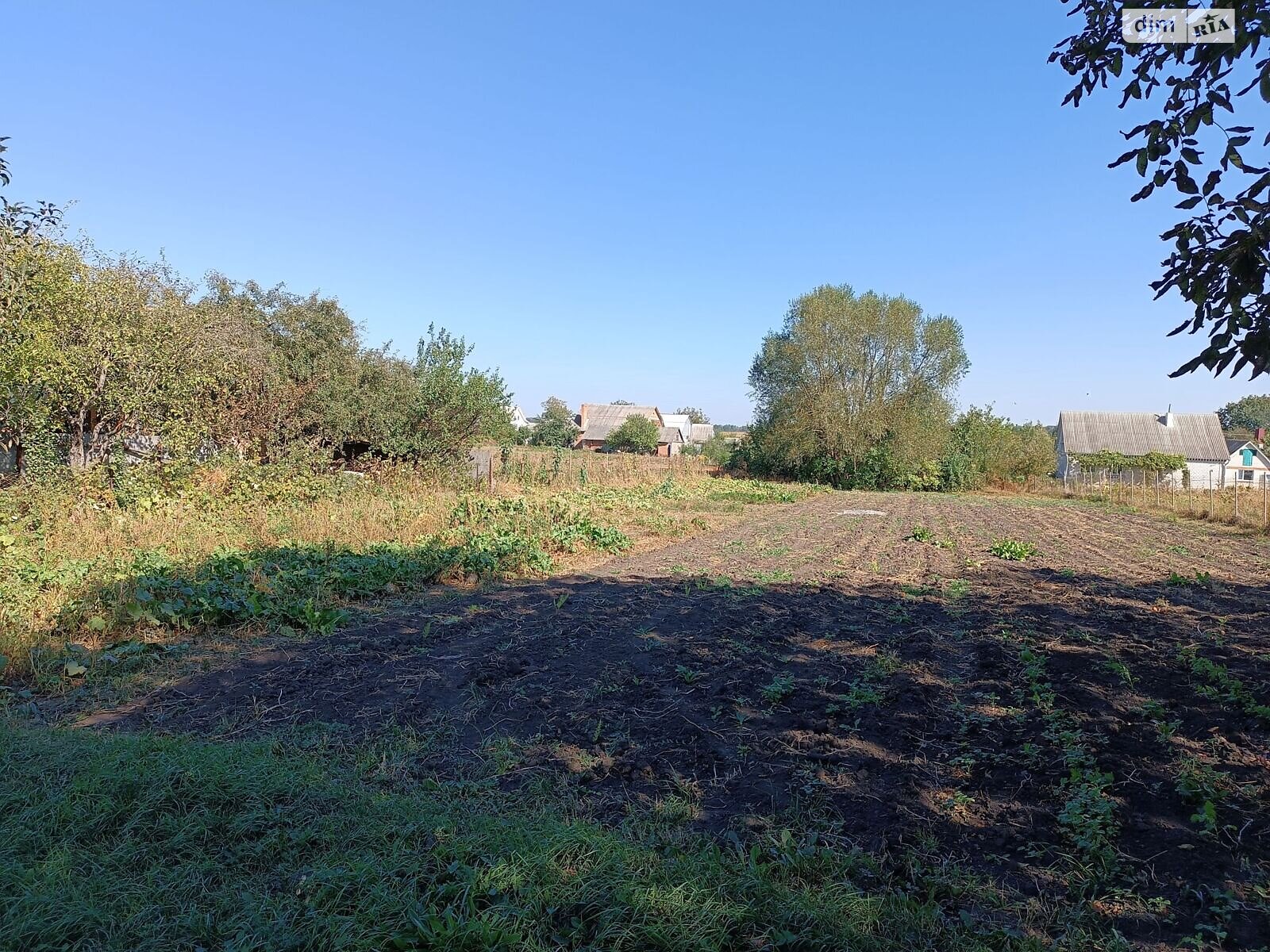 Земля під житлову забудову в Калинівці, район Калинівка, площа 21 сотка фото 1