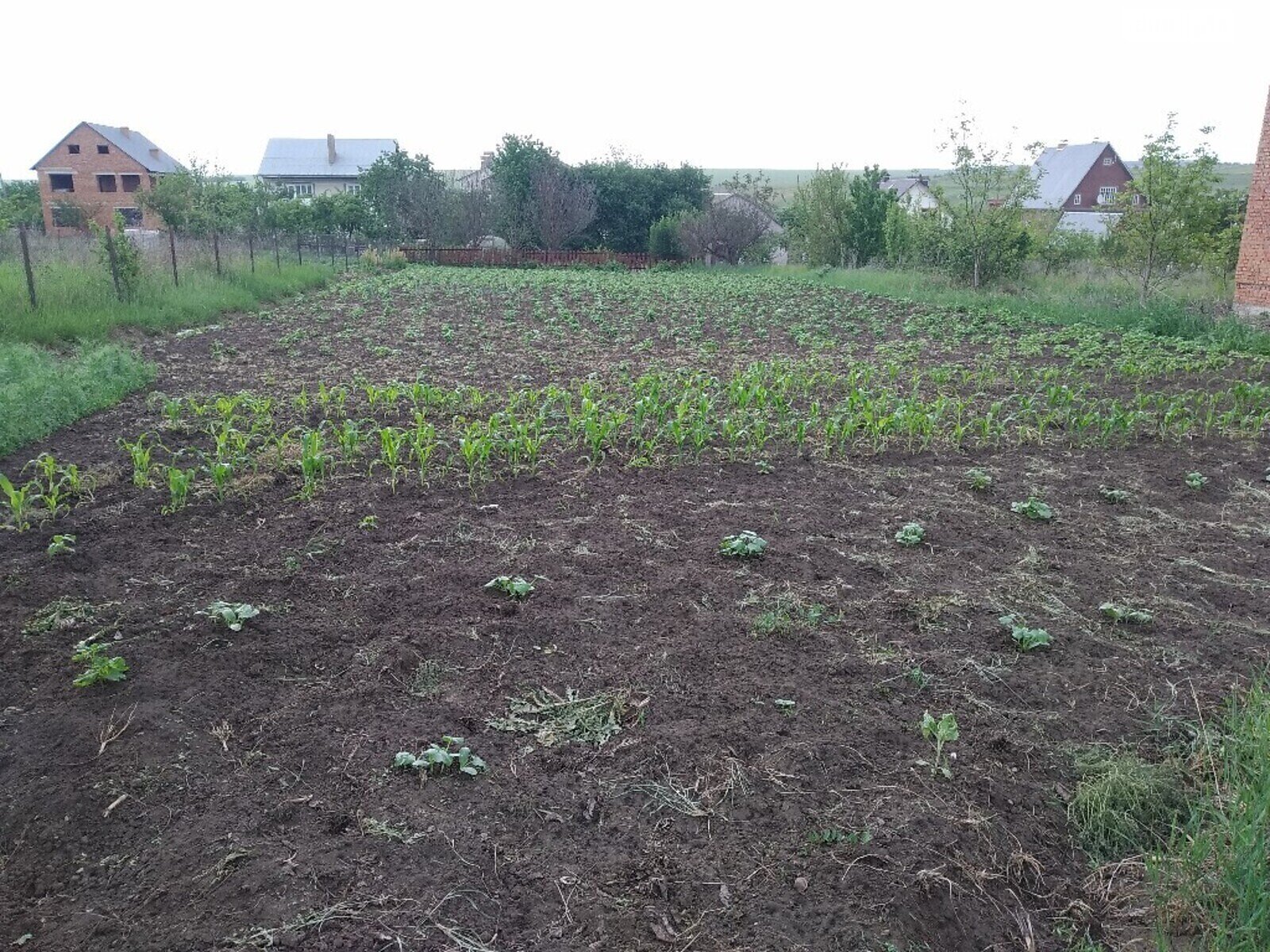 Земельна ділянка під житлову забудову в Мукші Китайгородській, площа 12 соток фото 1 Земельна ділянка під житлову забудову в Мукші Китайгородській, площа 12 соток фото 1