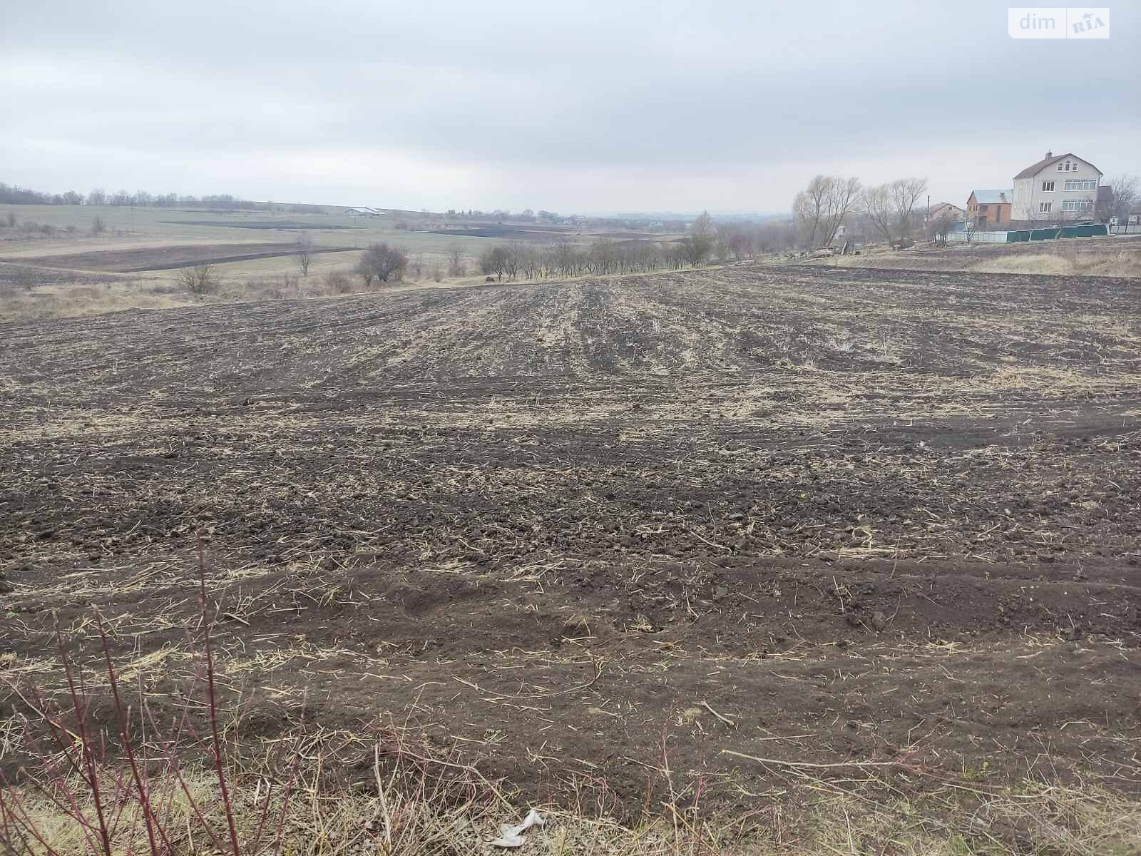Земельный участок под жилую застройку в Слободке-Кульчиевецкой, площадь 55 соток фото 1 Земельный участок под жилую застройку в Слободке-Кульчиевецкой, площадь 55 соток фото 1