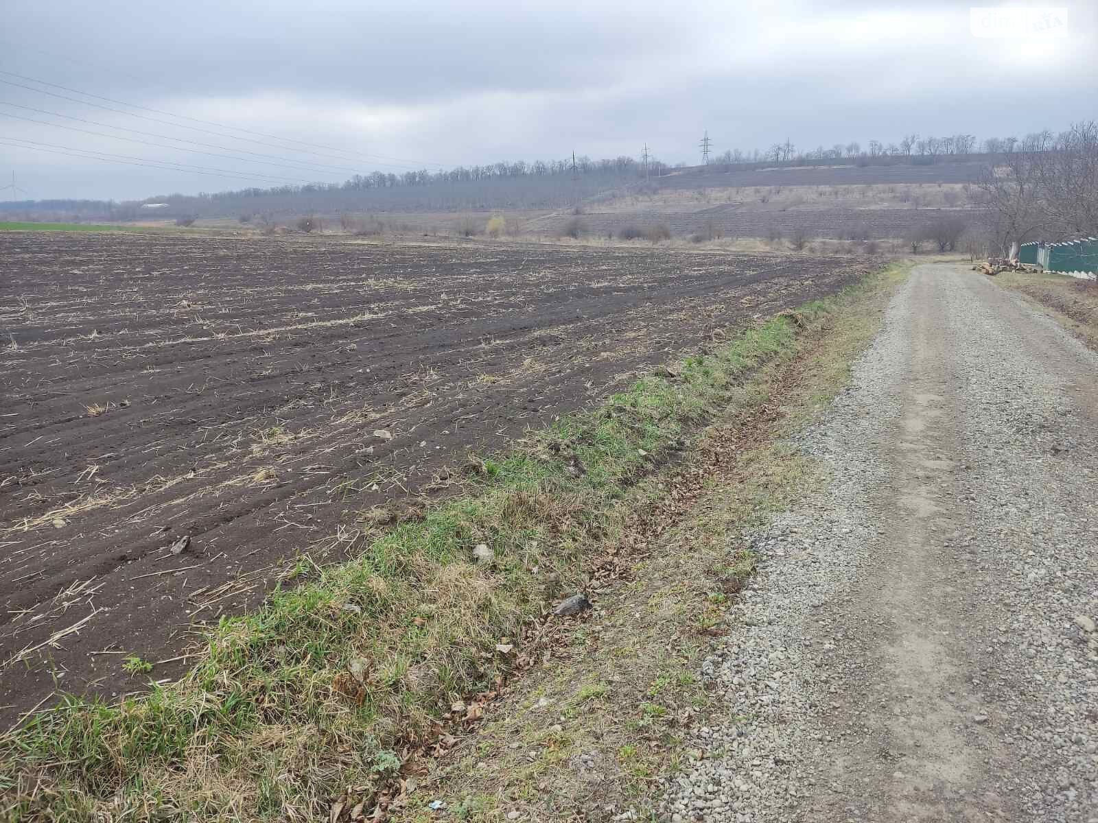 Земельный участок под жилую застройку в Слободке-Кульчиевецкой, площадь 55 соток фото 1 Земельный участок под жилую застройку в Слободке-Кульчиевецкой, площадь 55 соток фото 1
